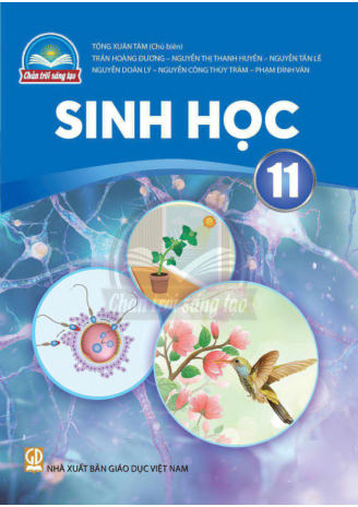 Sinh Học lớp 11 Chân Trời Sáng Tạo