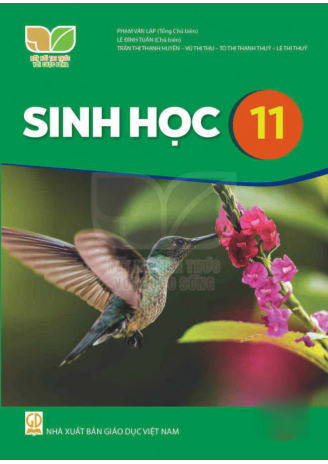 Sinh Học lớp 11 Kết Nối Tri Thức